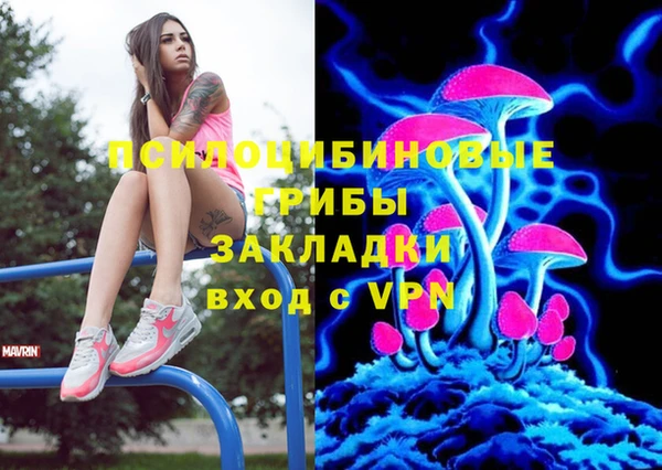 ешки Бородино