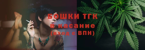 ешки Бородино