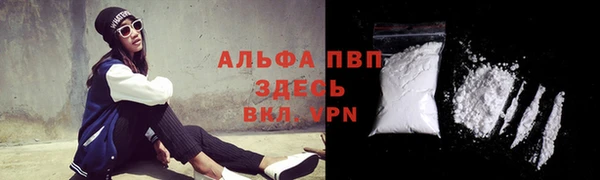 ешки Бородино