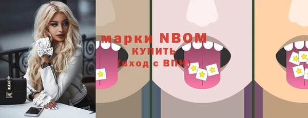 ешки Бородино