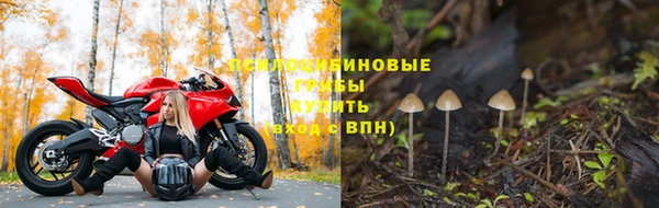 ешки Бородино